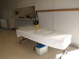 familiefeest deel 1 - 2017 - 008.jpg